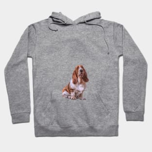 Drawing funny dog Basset Hound Hoodie